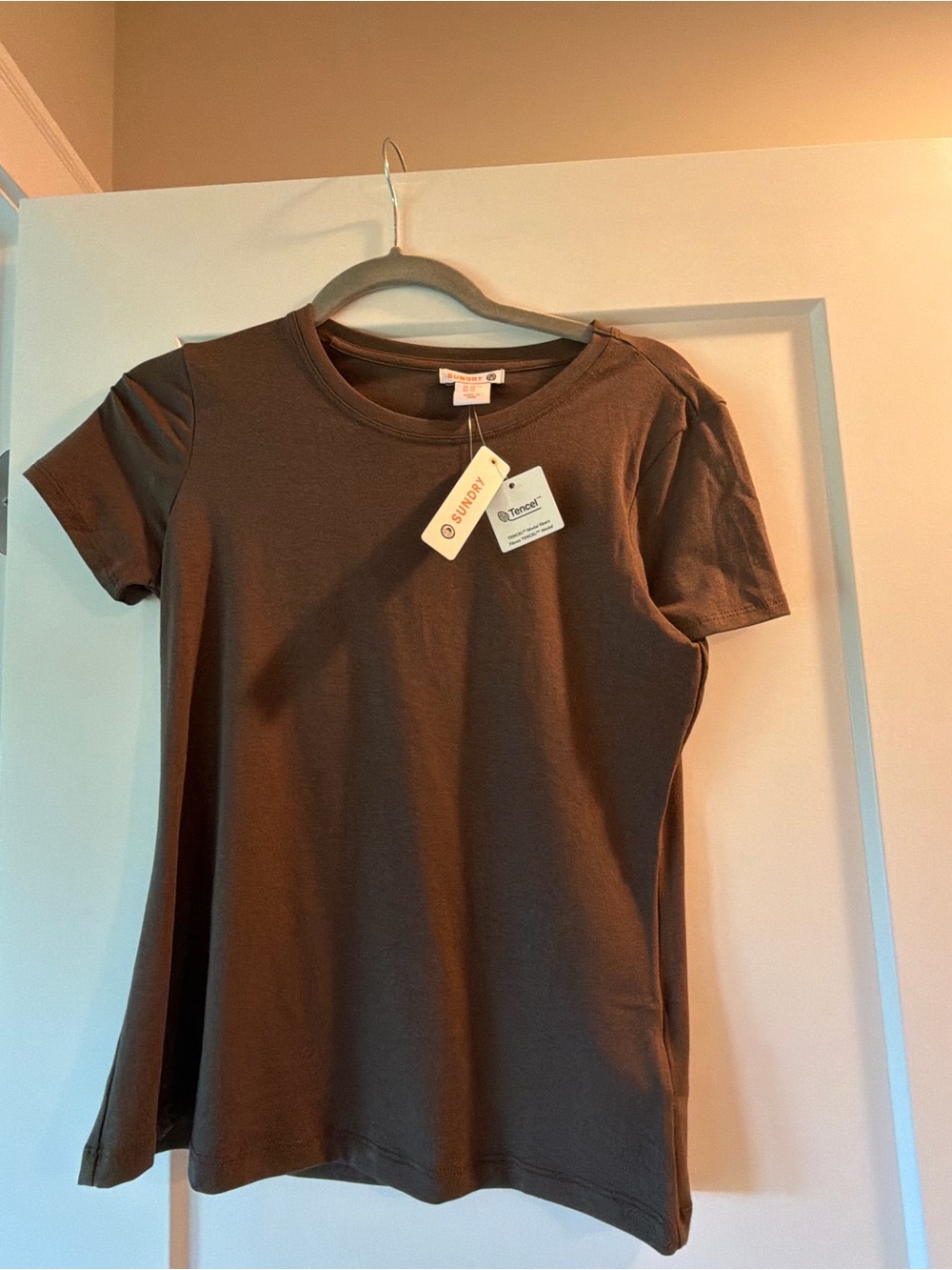 Sundry Short Sleeve Crew Neck Tee in Deep Brown